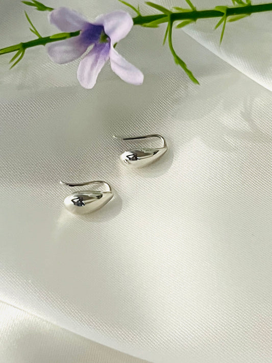 Silver Drops Earrings